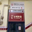 계화네튀김 | 창원 닭볶음탕 맛집 추천 팔용동 계화통 직접 다녀온 후기
