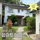 나만 알고 싶은 대마도 히타카츠 숙소 <화이트 하우스> 후기