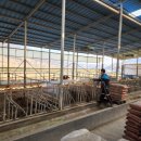 영주축협동물병원 이미지