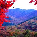 금산-43 이미지