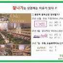 유림-16 네이버블로그