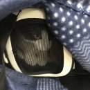 서울허브동물병원 이미지