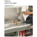전주 크로스핏 이미지