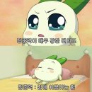 자연청람 이미지