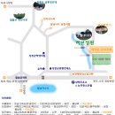 강진허브 Daum카페