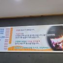 고향돼지 이미지