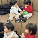 새벽닭이 울때까지 네이버블로그