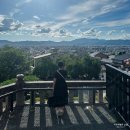 849014 | [공지] 세시간전 크리에이터 초보도 가능한 6개월 수익인증 FLWXW7 +꿀팁