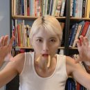 엘시엘로 이미지