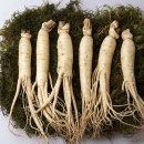 인삼약초로 이미지