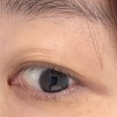 평촌본프라자 | 평촌속눈썹 연장 클래식 자연스러운 디자인 후기