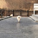 하곰스토어