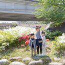 우리의 봄날 이미지