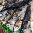 군산농협 로컬푸드직매장 하나로마트 이미지