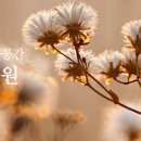 인천대공원(남문) 이미지