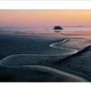 해를품은바다 이미지