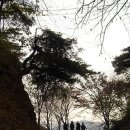 만인산자연휴양림 이미지