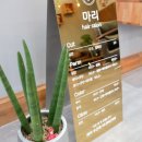 마리헤어 이미지