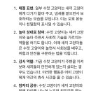 얘들아 수컷고양이가 여기 적혀있는거 다하는데 이미지