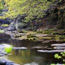 삼정인테리어 - 파주시 호주골길 115 | 삼정인테리어