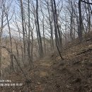 DMZ 평화의 길 31코스 이미지