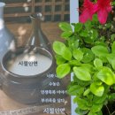 헬스라이프스토리 이미지