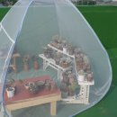 미니하우스 이미지