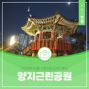 양지근린공원 어린이놀이터 | 대전역 10분 거리에 이런 곳이! 대전 중구 밤 산책 명소 '양지근린공원'