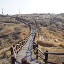 제주 올레길 18코스 이미지