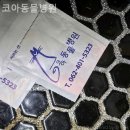 코아동물병원 | 북구 동물병원 코아동물병원 기록