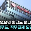 &#34;성과 없으면 월급도 없다&#34;…롯데웰푸드, 직무급제 도입 - 이미지