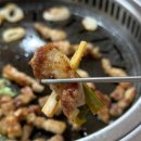 메밀꽃돼지 이미지