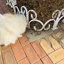 조치원읍도서관 | 2026년 1월