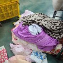 충남세탁 이미지