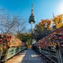 명동카정비 이미지