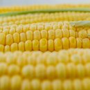 쌀베이킹 및 홈베이킹 이미지