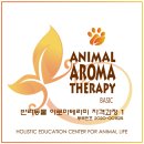 더힐테라피