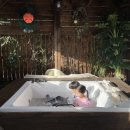 스테이돌덕 이미지