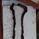 상정2구 이미지