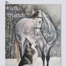 Hello 라온 이미지