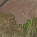 경기동물메디컬센터 이미지