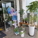 유학산금호스크린골프 이미지