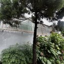 신평 신익강변 이미지