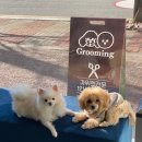 제이앤제이그루밍 이미지