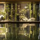 아카사카 이미지