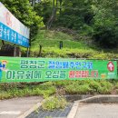평창군절임배추사업단