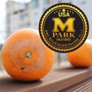 오렌지 농장 이미지