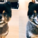 짜장스토리