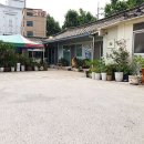 우미가 이미지