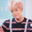 워너클린 이미지